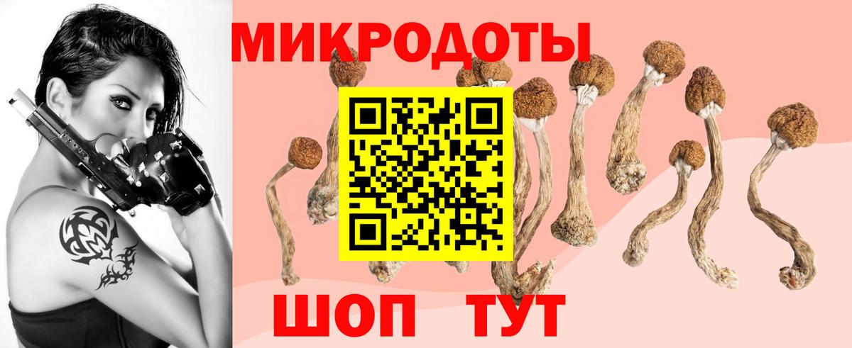Галлюциногенные грибы прущие грибы  Вход с VPN  Чапаевск  Псилоцибиновые грибы Magic Shrooms 